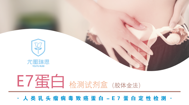 人类乳头瘤病毒致癌蛋白－E7蛋白定性检测